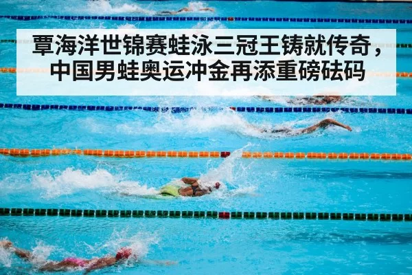 Olympic swimming pool